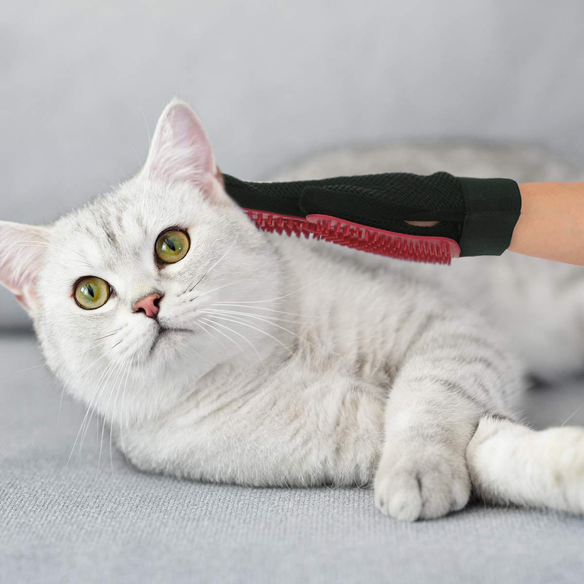 Red True Touch cleaning tool, effective for washing Red True Touch cleaning tool, effective for washing